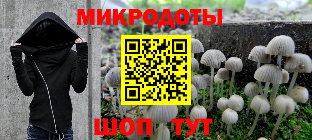 Галлюциногенные грибы мицелий  Псилоцибиновые грибы прущие грибы  Зеленокумск  Вход с VPN 