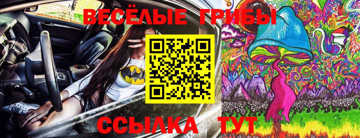 Галлюциногенные грибы Psilocybe Зеленокумск